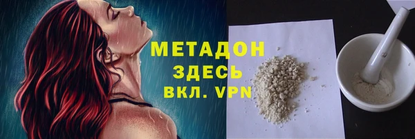 прущие грибы Бородино