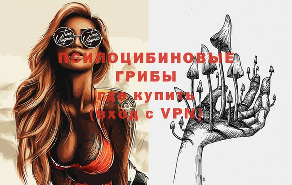 круглые Бронницы