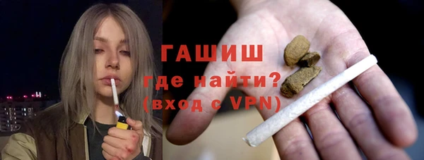 прущие грибы Бородино