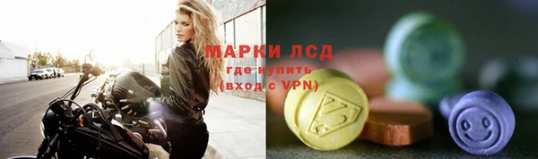 прущие грибы Бородино