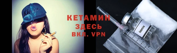 прущие грибы Бородино