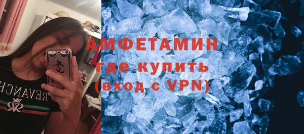 прущие грибы Бородино