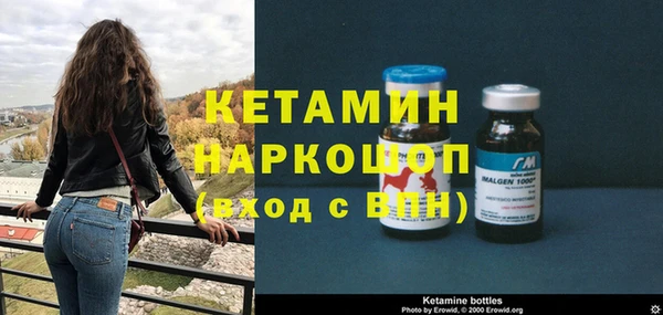 прущие грибы Бородино