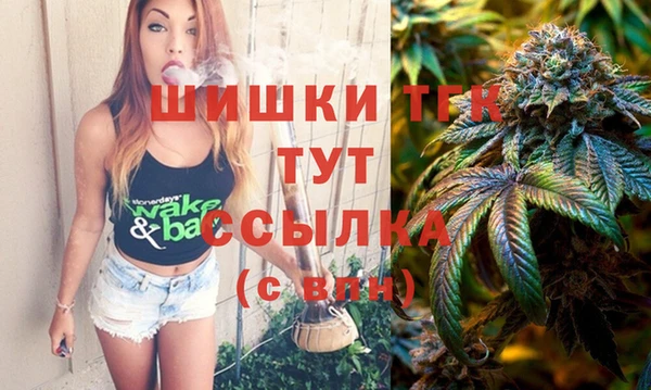 прущие грибы Бородино