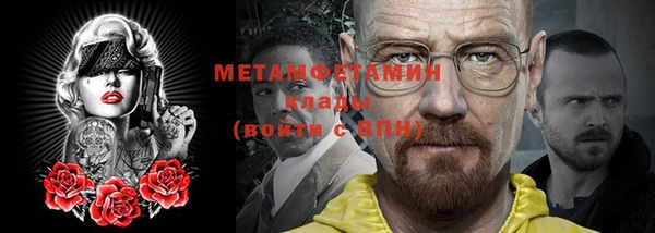 прущие грибы Бородино